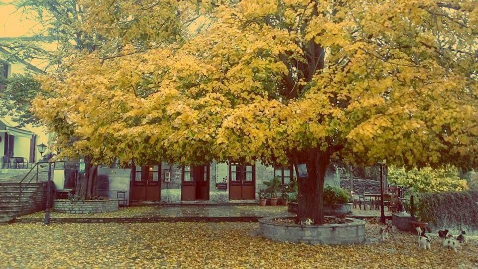 Villa Armonia Neochori  Zewnętrze zdjęcie