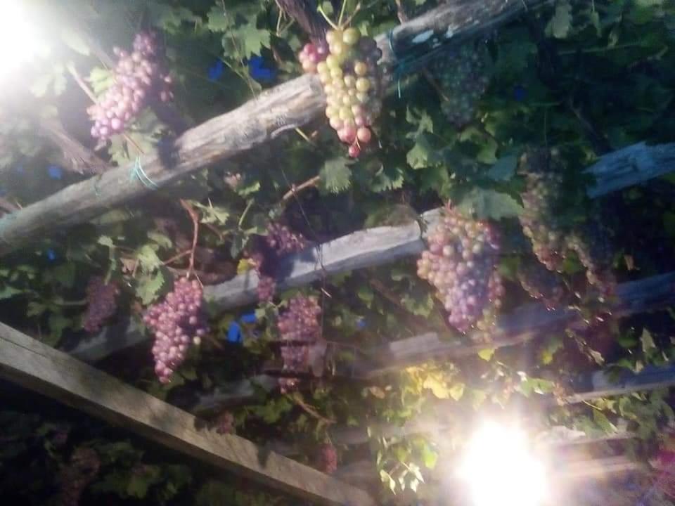 Villa Armonia Neochori  Zewnętrze zdjęcie